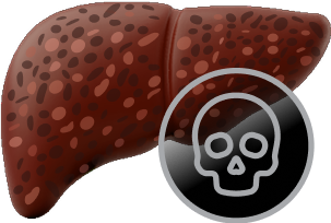 Damaged liver image paired with a skull to denote mortality.
